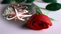 Hz Muhammed'in 10 mucizesi! Ayı ikiye böldü ve...